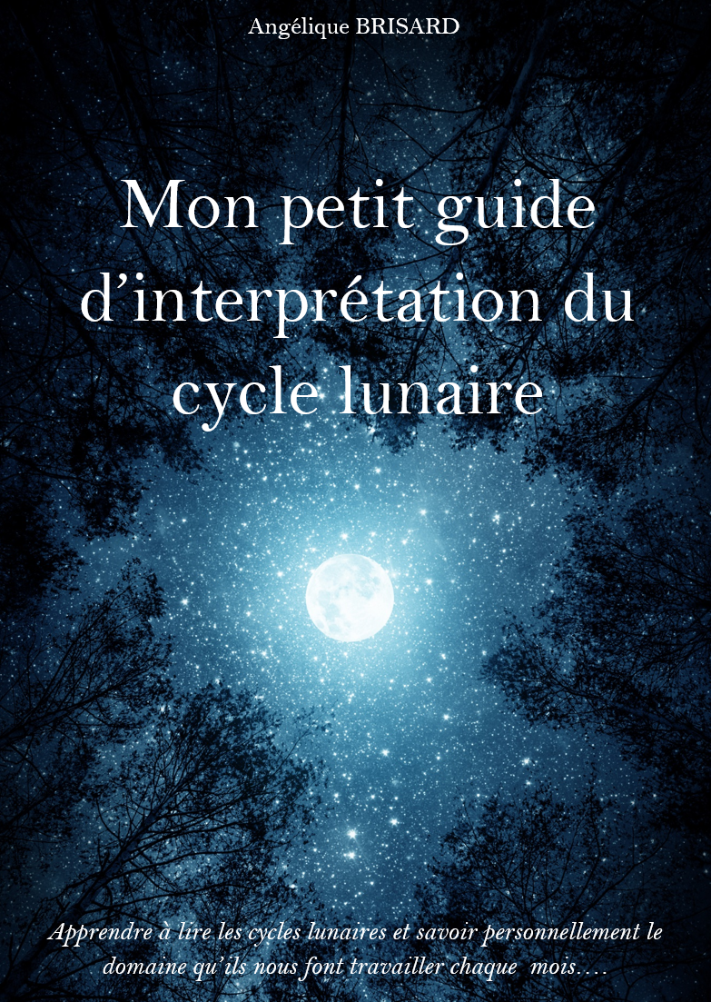 mon petit guide d'interprétation du cycle lunaire programme en ligne